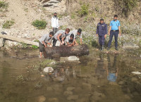 बन्दाबन्दीमा जंगलः सामुदायिक भन्दा राष्ट्रिय र साझेदारी वनमा तस्करी धेरै