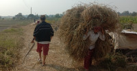 कुलत त्यागेको रतनपुरी