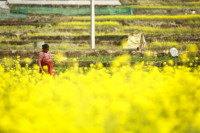 देशको ४२ प्रतिशत अर्थतन्त्र अनौपचारिक