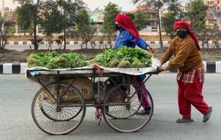 साइकल र ठेला व्यापारी भन्छन्- काम गर्न नपाए कसरी बाँच्ने ?