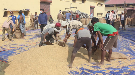 खाद्यान्नको उत्पादन घट्यो, तरकारी र फलफूलको बढ्यो