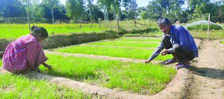 ‘आफ्नो मालिक आफैं’