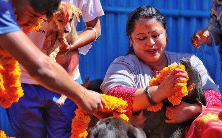 सडकबाट उद्धार गरिएका कुकुरको धुमधामसँग पूजा (तस्वीरहरू)