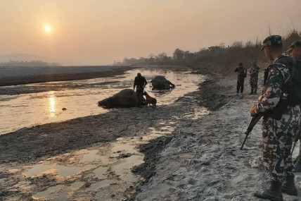 कसरी नियन्त्रण गर्ने वातावरणीय अपराध?