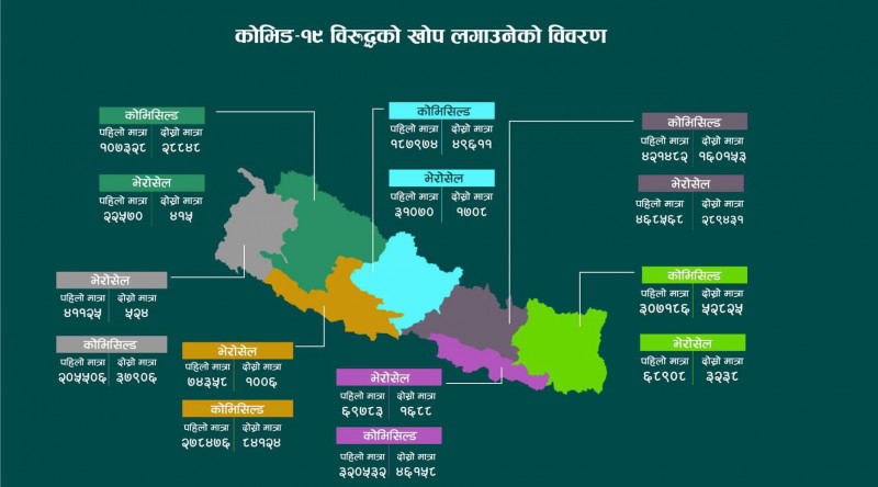 कुन प्रदेशमा कतिले लगाए कोभिड-१९ विरुद्धको खोप?