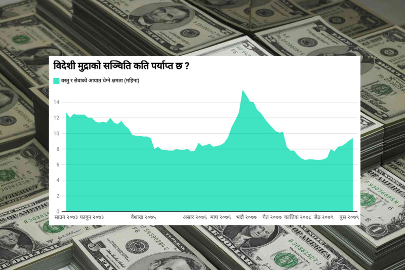 विदेशी मुद्राको सञ्चिति कसरी सुधारियो?