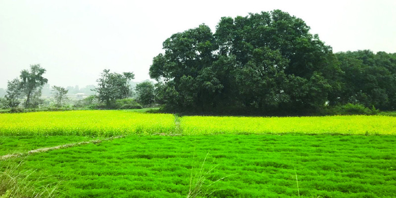 भूमि मास्ने विमानस्थलको कथा